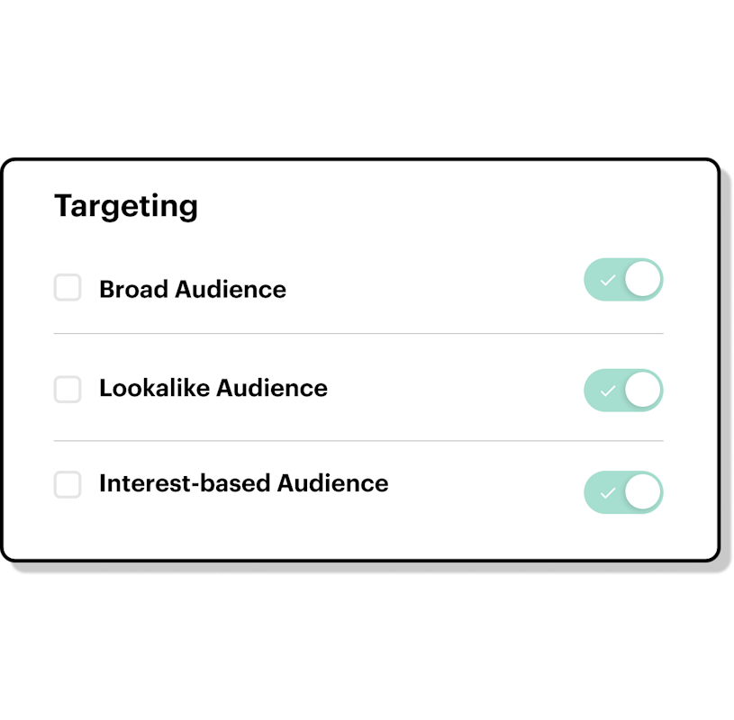 Targeting interface with options for broad audience, lookalike audience, and interest-based audience