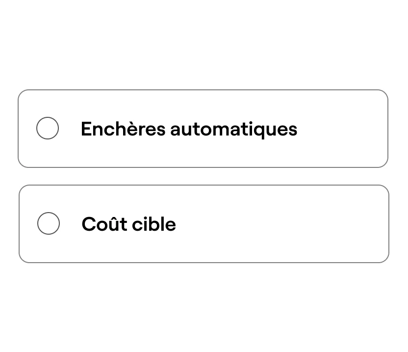 Program box showing how to select your bid strategy