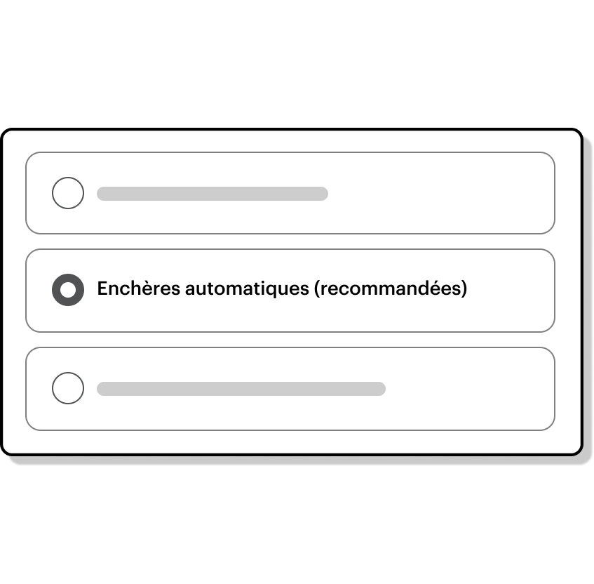 Program box showing how to select your bid strategy