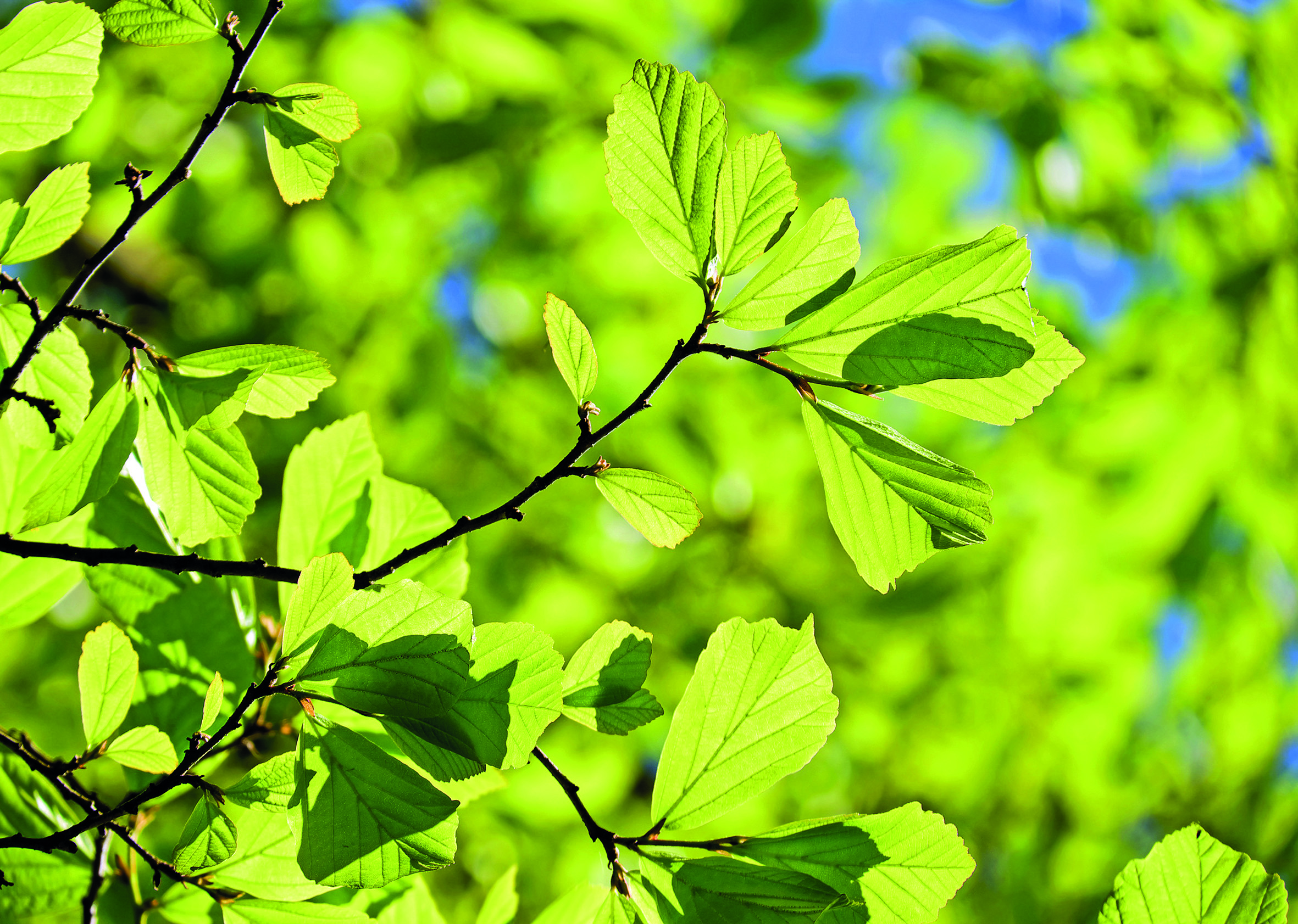 Article preview image