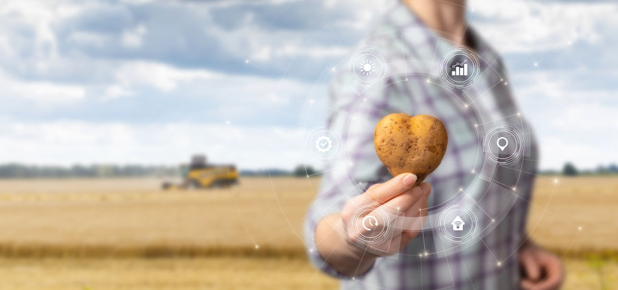 A farmer shows a heart-shaped potato