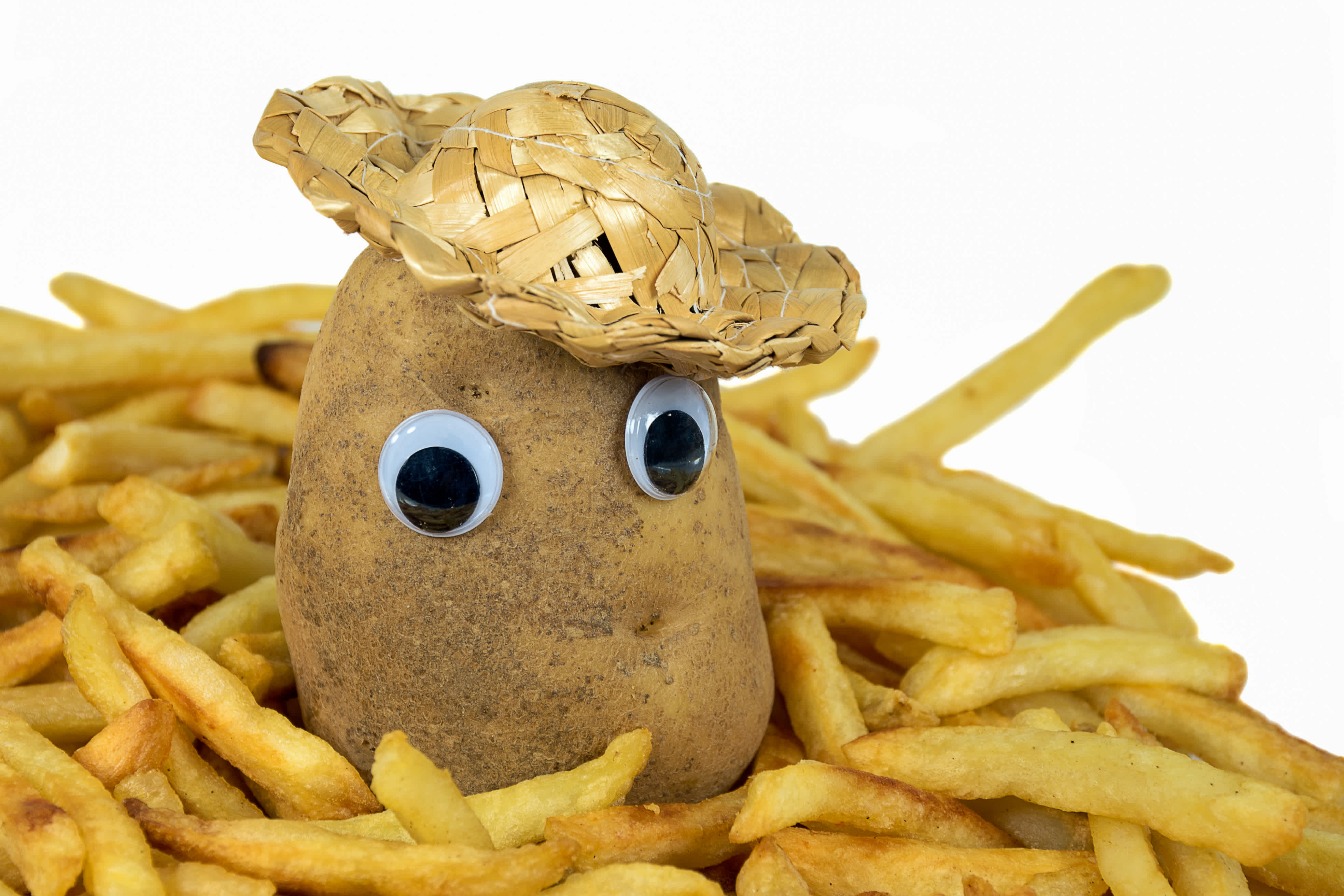 This is a cute depiction of a potato with googly eyes to illustrate potato vision.