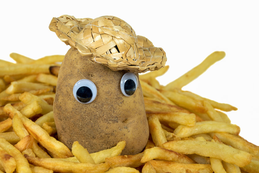 This is a cute depiction of a potato with googly eyes to illustrate potato vision.