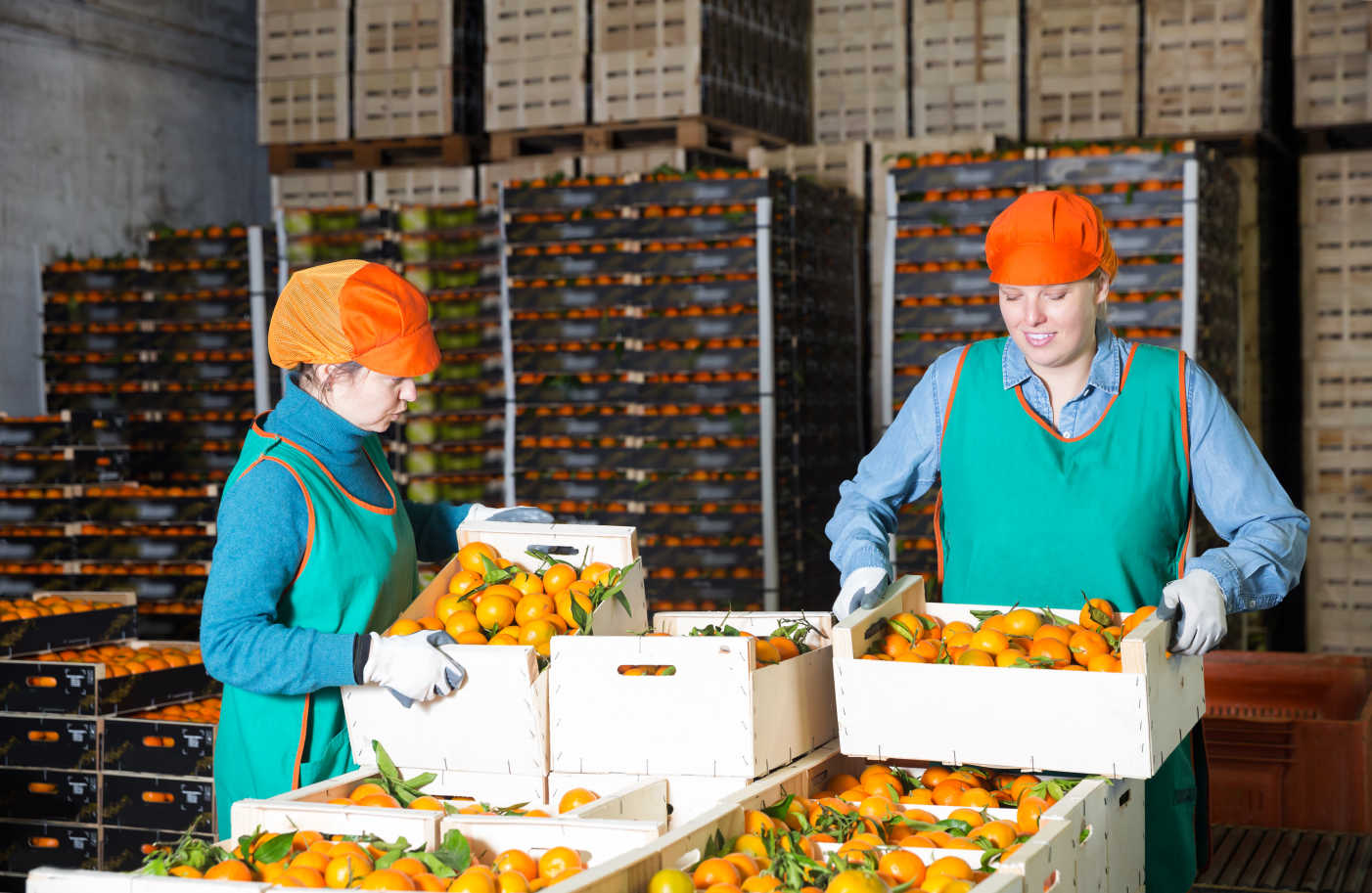 end-of-line packaging workers