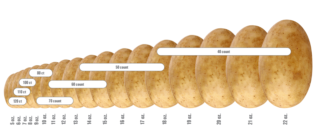 Are You Choosing The Right Size Potato? Our Quick Guide and Potato