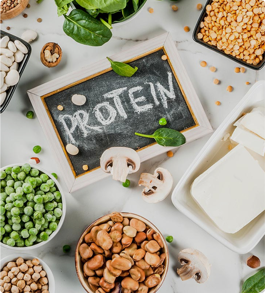protein