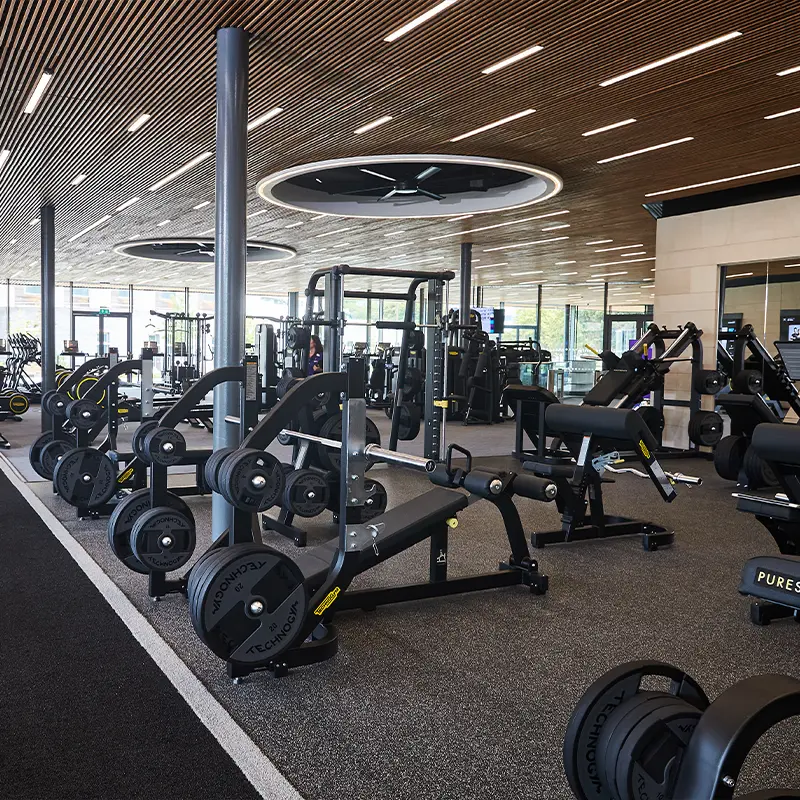 carousel-wellness-design-schools-universities