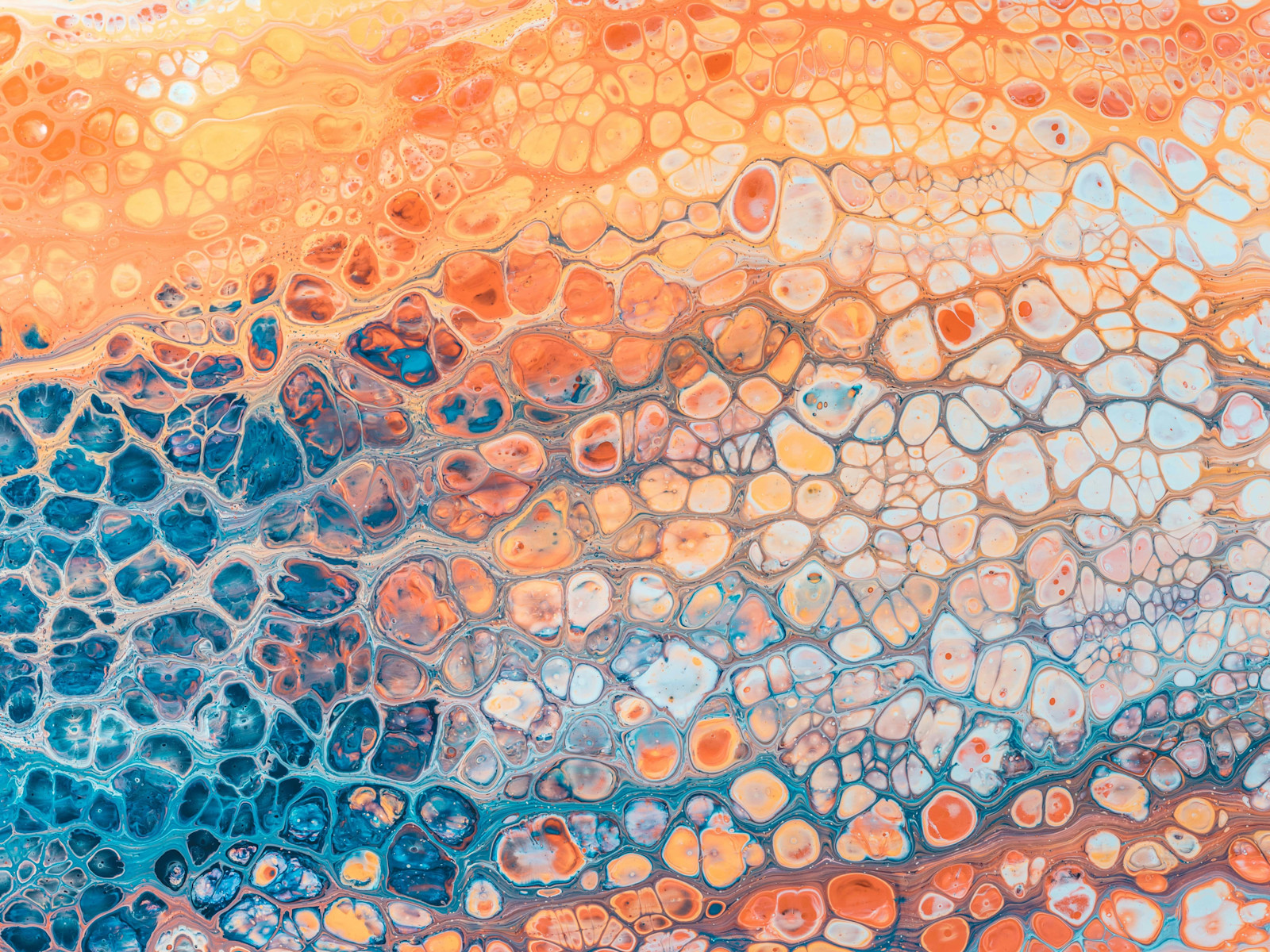 pawel-czerwinski-LyZLaA5jtiY-unsplash