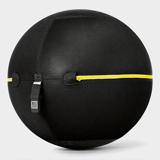 TECHNOGYM BALL FOR DIOR – Kinno Scuba