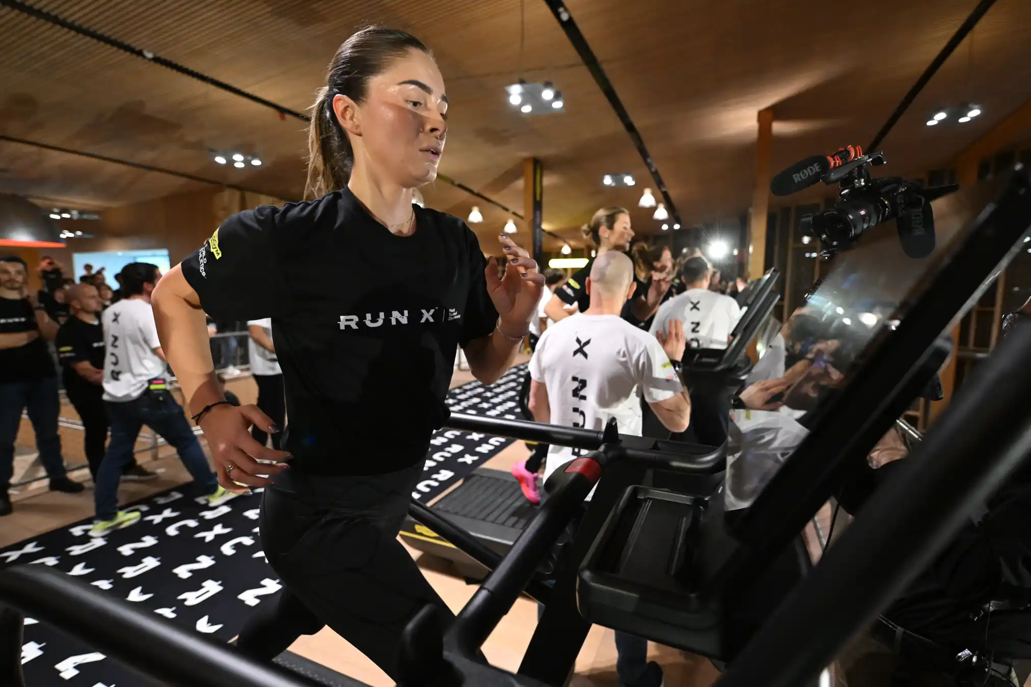 runx