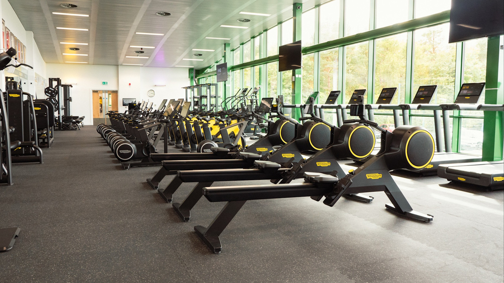 gym 5 (1 of 1) - Copy