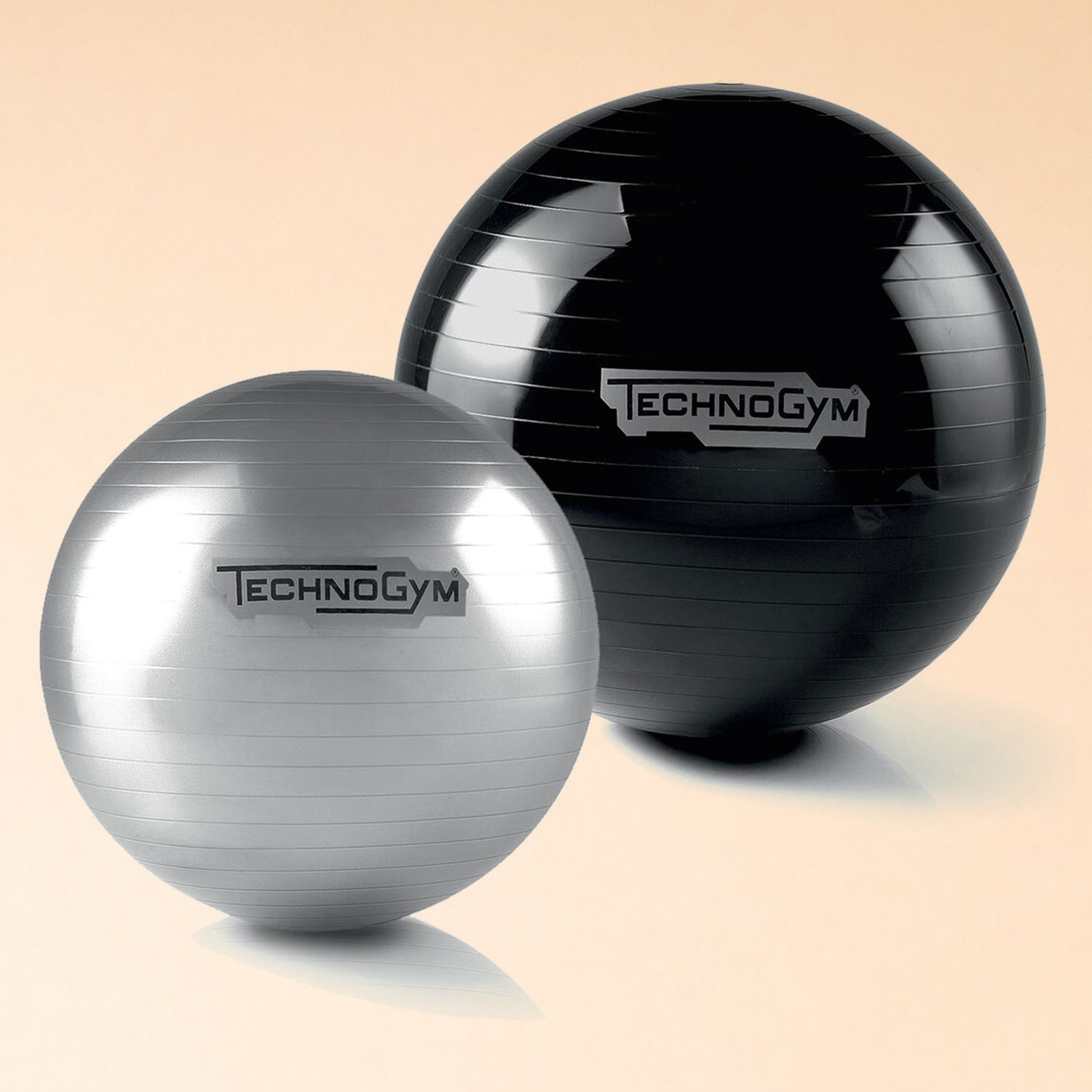 Bungee Ropes Exercise Fitness gifts for home gym lovers | Technogym United States