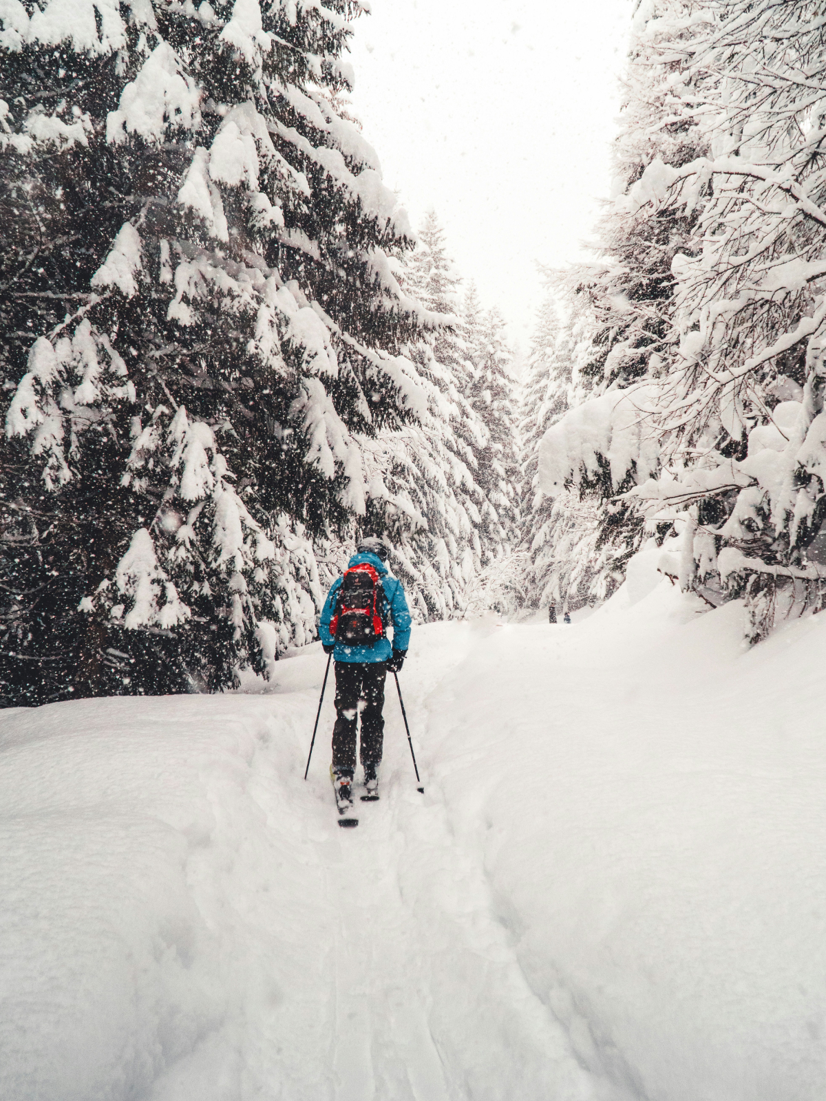 train-for-snow-sports-2