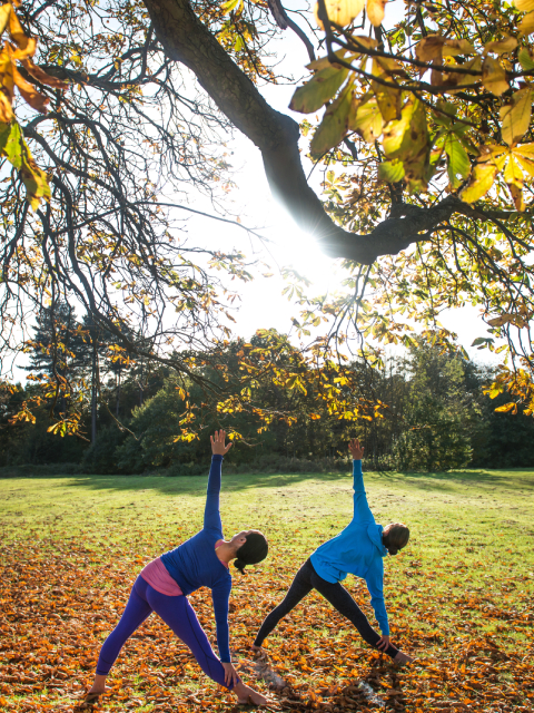 epigenetics-longevity-preview