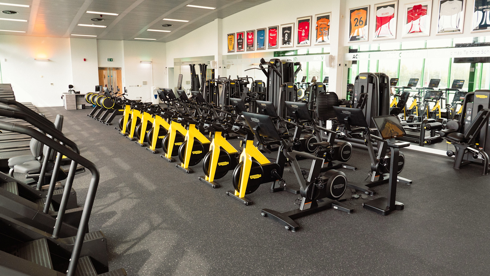 gym 8 (1 of 1) - Copy