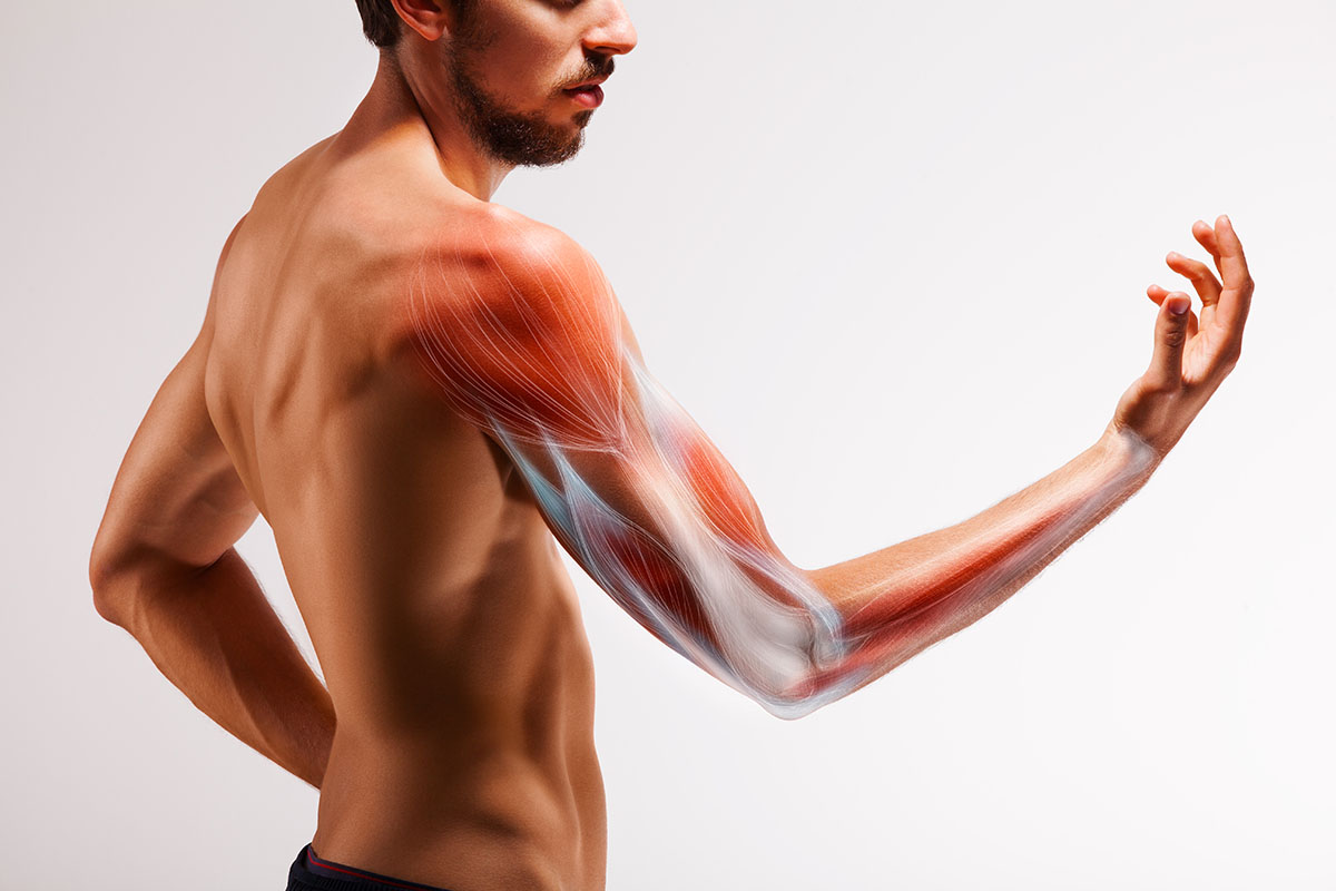 defining-functional-training-and-goals-image