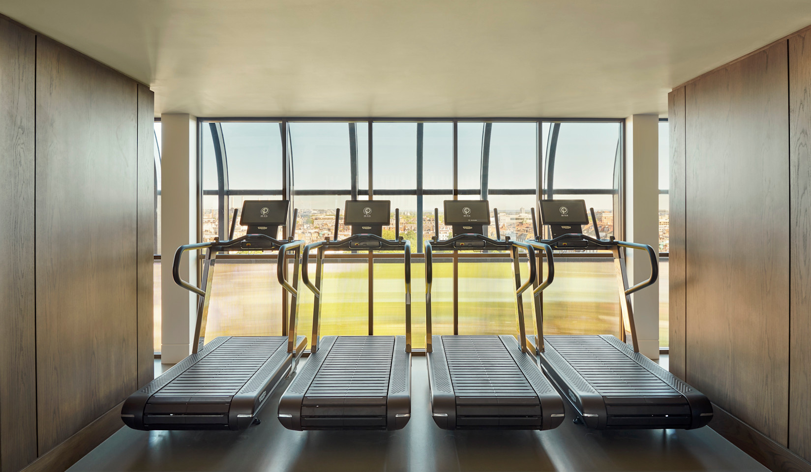 Peak Treadmills - Copy