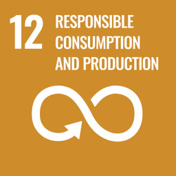 E_SDG_PRINT-12_responsible-consumption-and-production