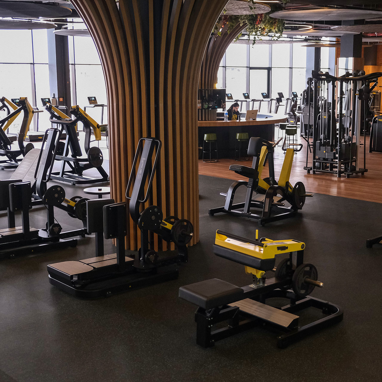 golds-gym-tblisi.jpg