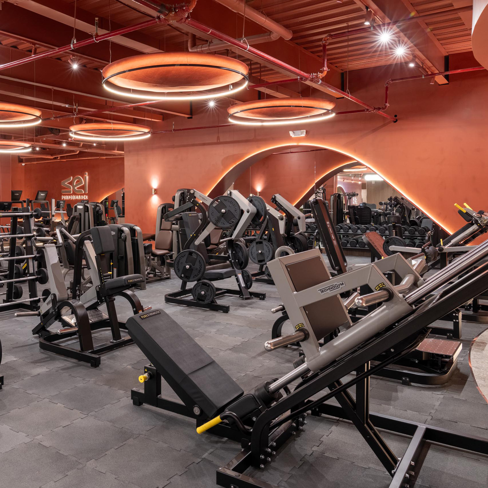 sei-fitness-club-pure.jpg