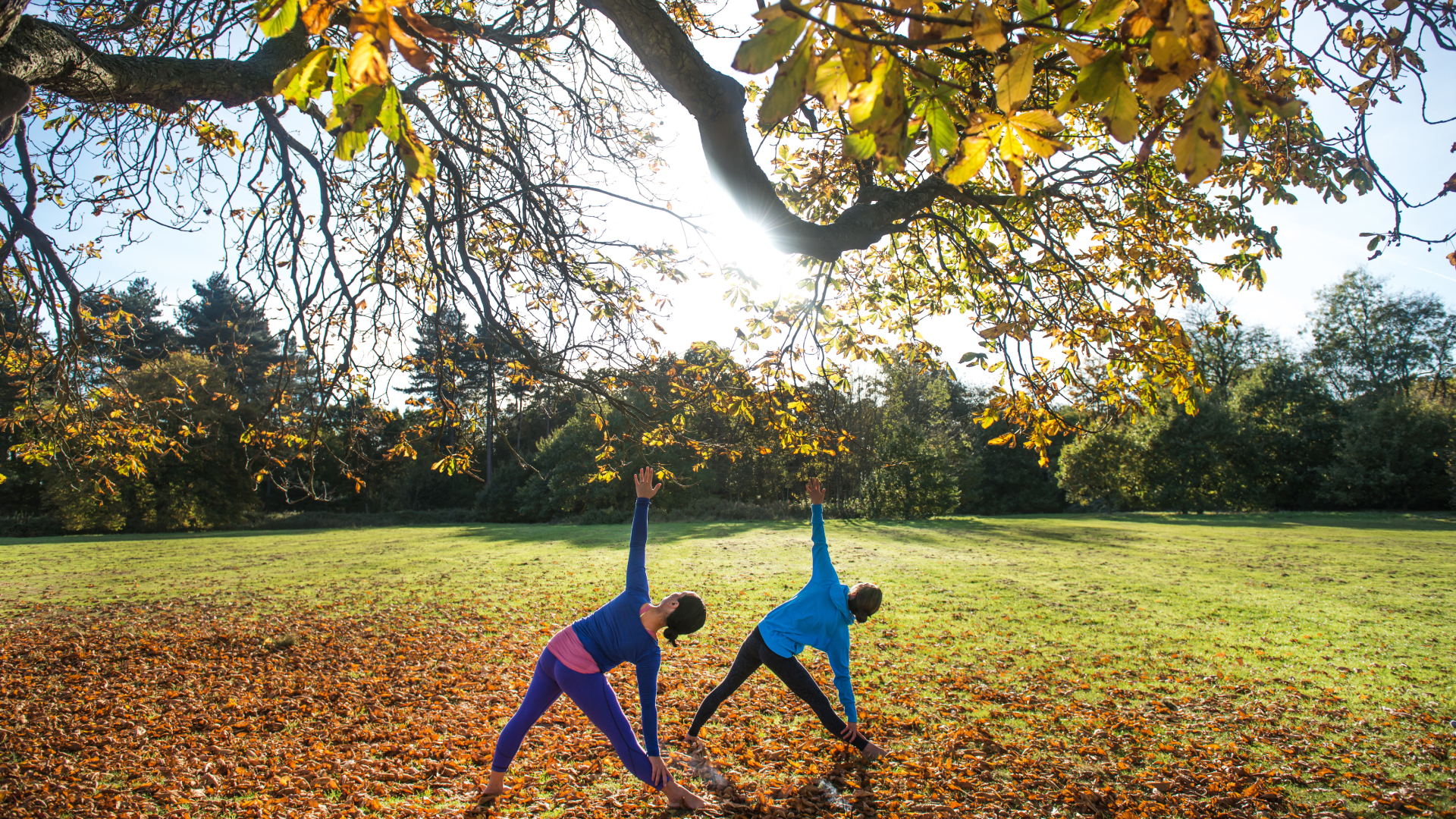 epigenetics-longevity-header