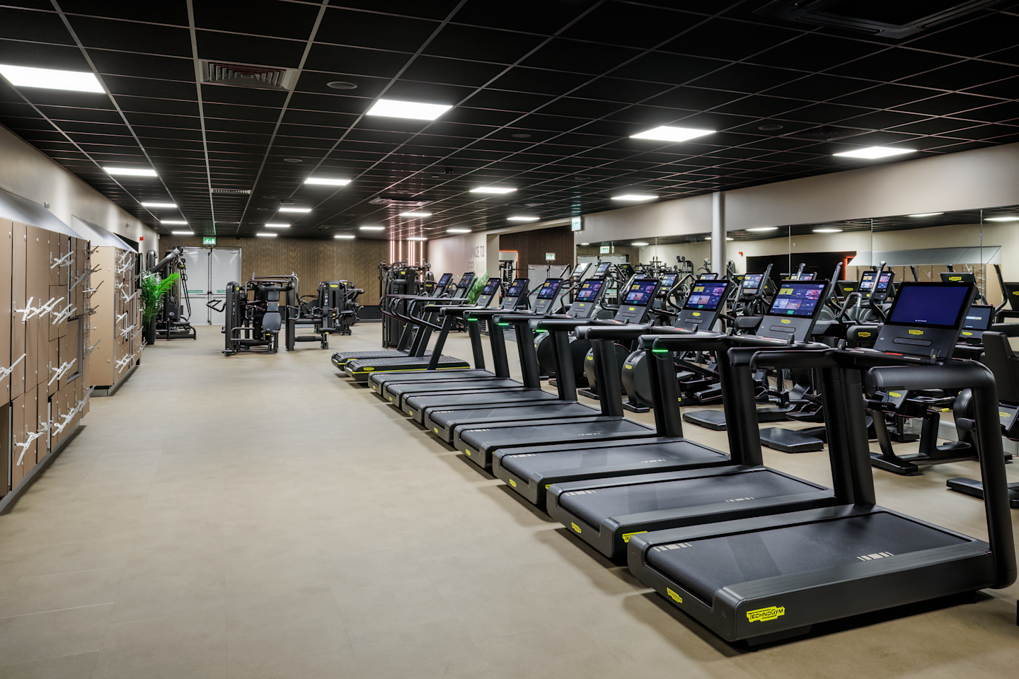 O65A0538-HDR-Edit - Copy