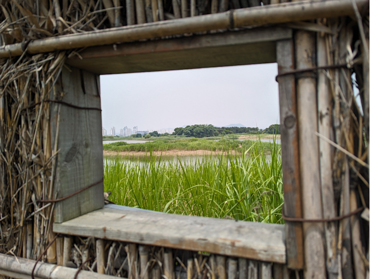 Výhled na jezero Výhled na jezero