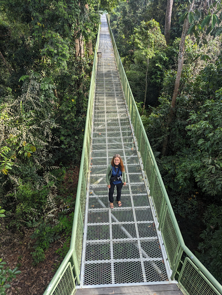 Na stezce v korunách stromů Na stezce v korunách stromů