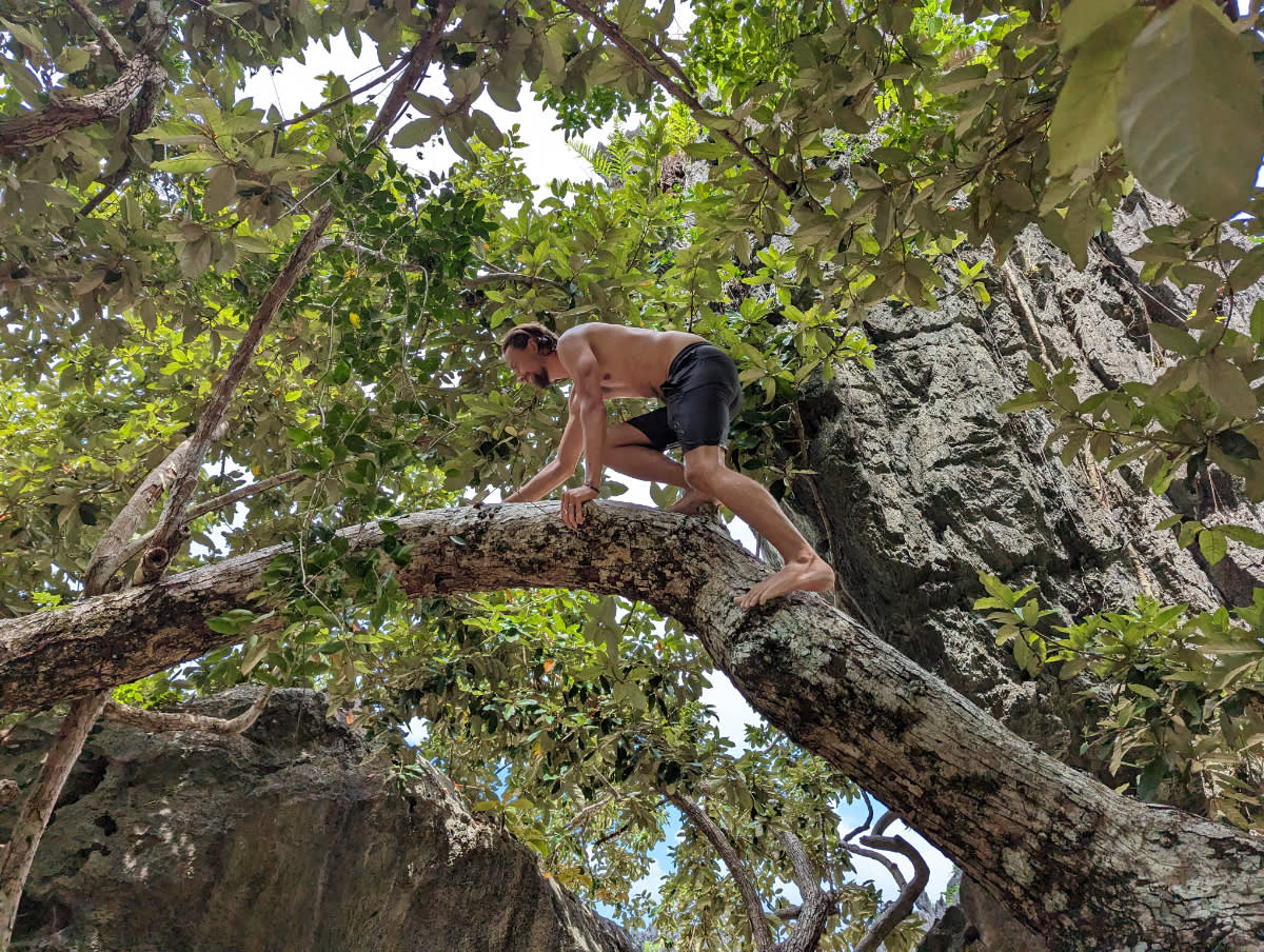Tarzan