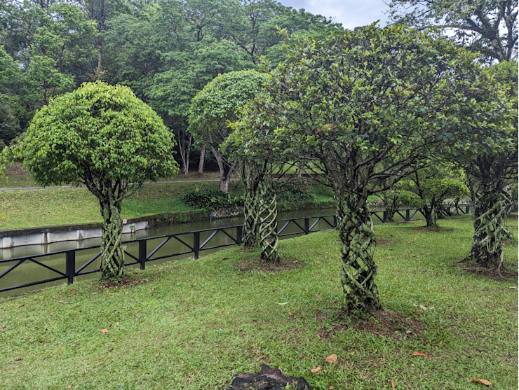 Botanická zahrada Botanická zahrada