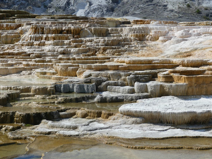 Palette spring