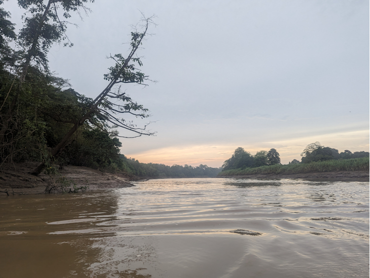 Svítání Svítání