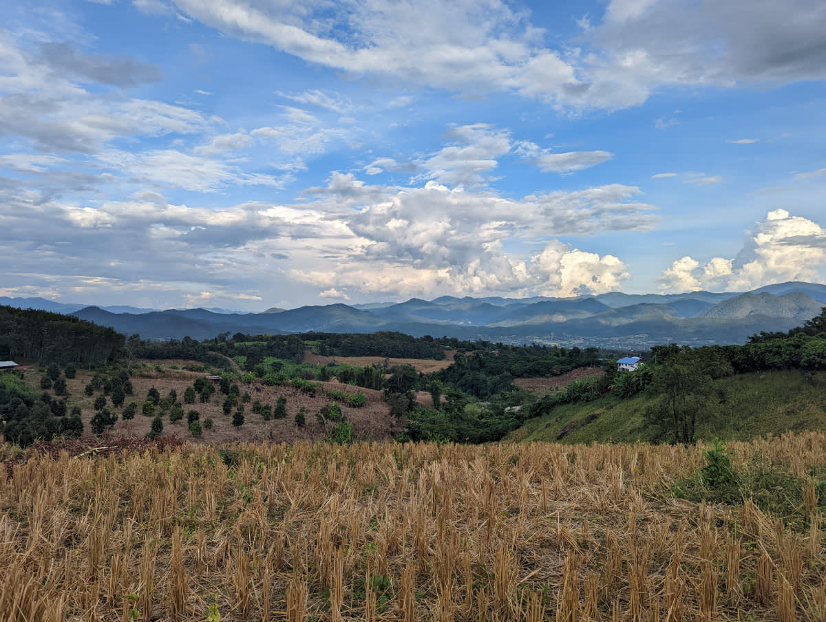 Podvečerní krajina