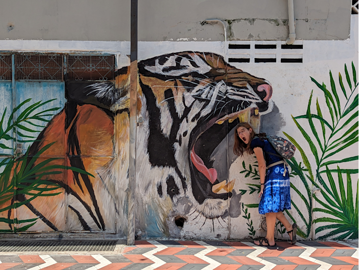 Ze by to byl tygr? Ze by to byl tygr?