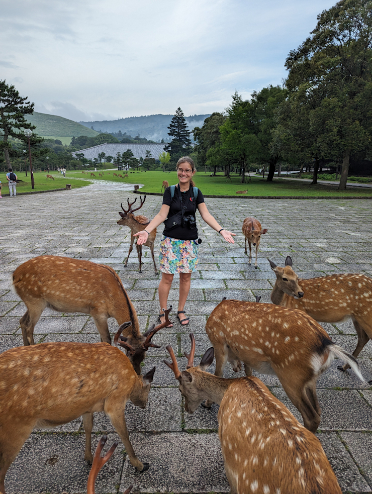 Uprostřed stáda Uprostřed stáda