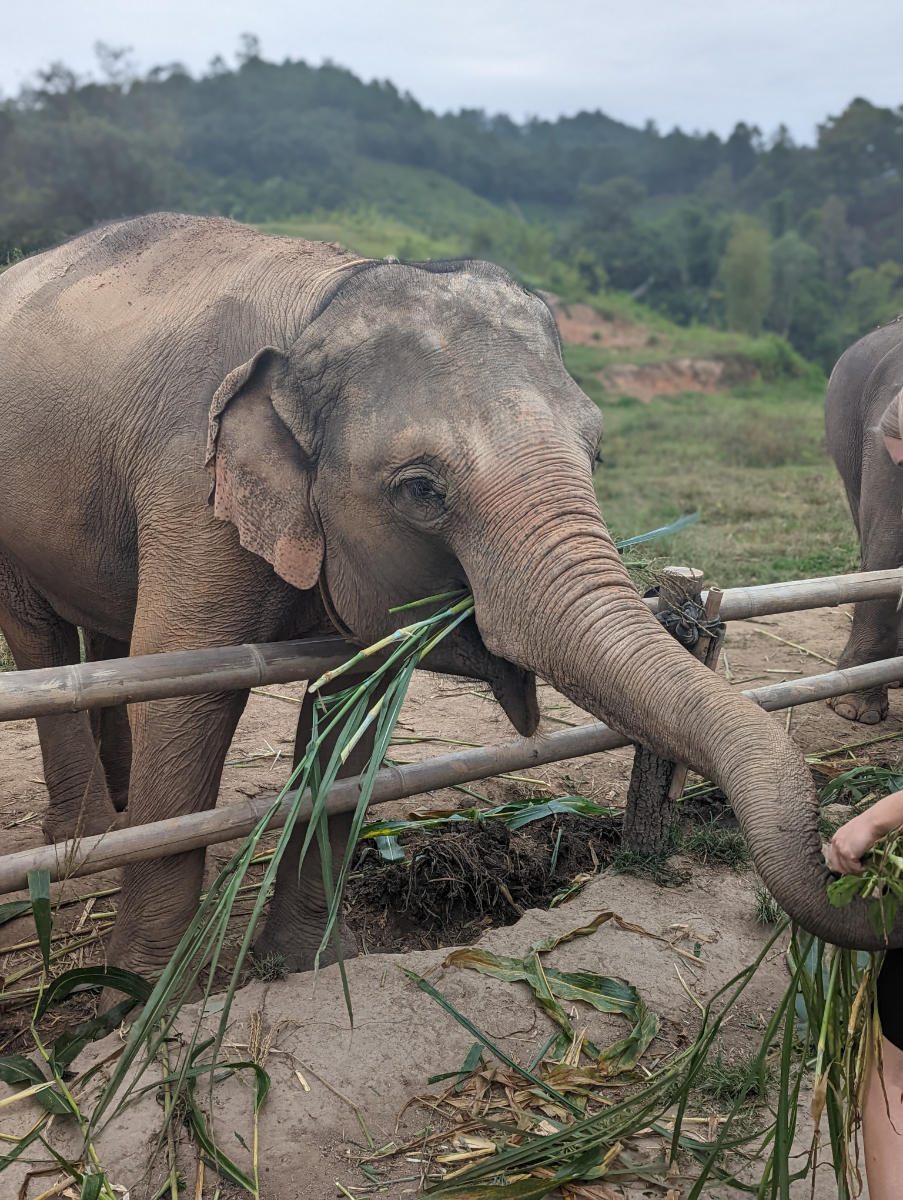 Za zážitky se platí Za zážitky se platí