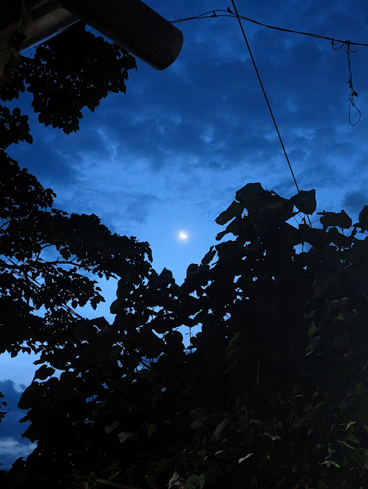 Měsíc s hvězdou na špici Měsíc s hvězdou na špici