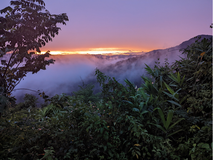 A pak se rozpršelo A pak se rozpršelo