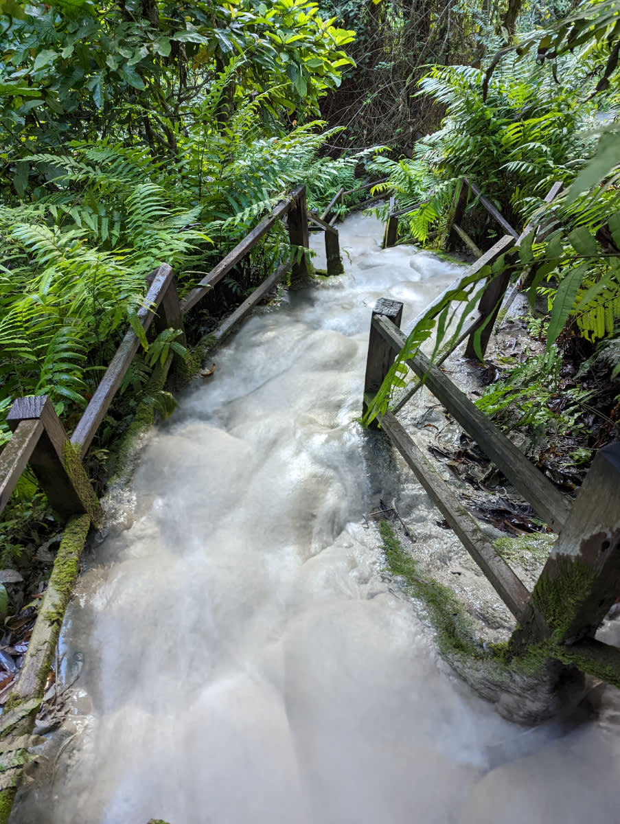 Sticky waterfalls 