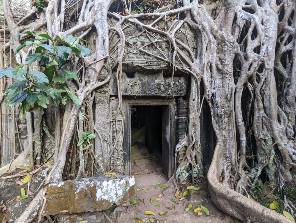 Známý chrám Ta Phrom 