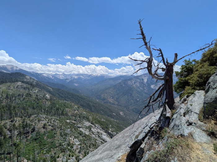 Mono Rock