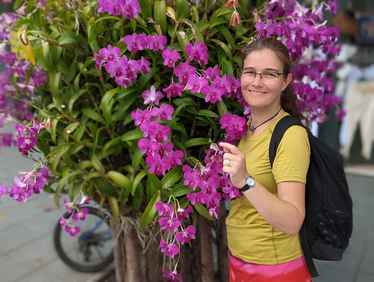 Krásné orchideje