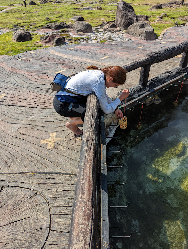 Vaříme vejce Vaříme vejce
