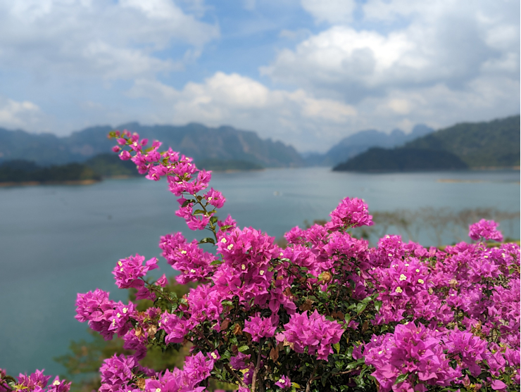 Výhled na přehradu Výhled na přehradu