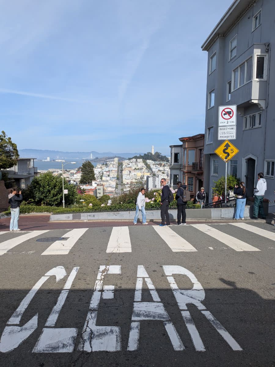 Pohled na křivolakou ulici Lombard street