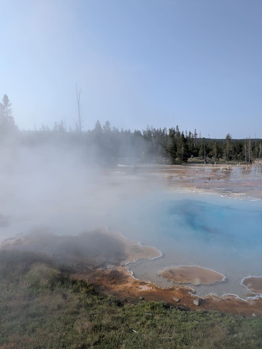 Silex spring