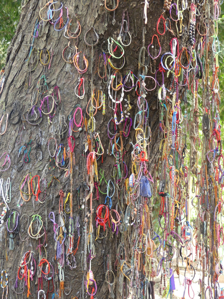 Killing tree