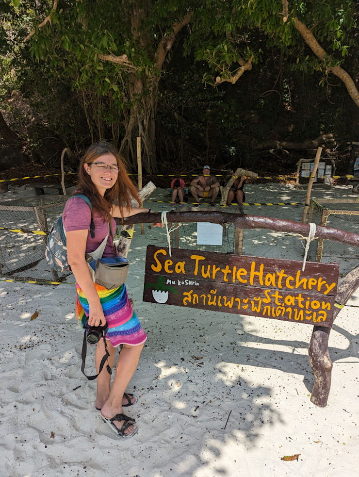 Najdi želvu level II Najdi želvu level II