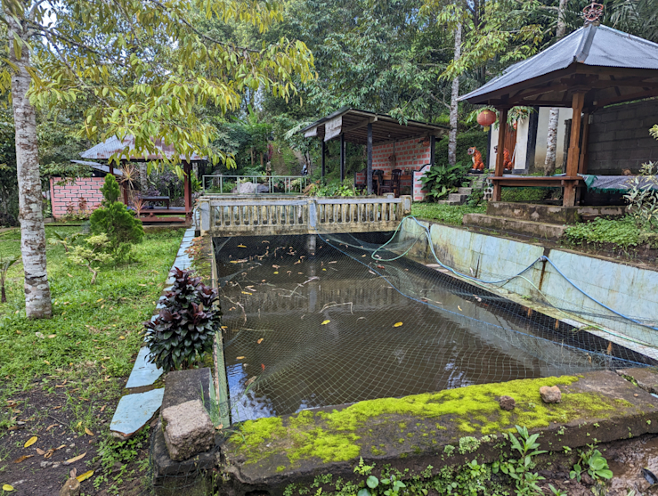 Ananda homestay