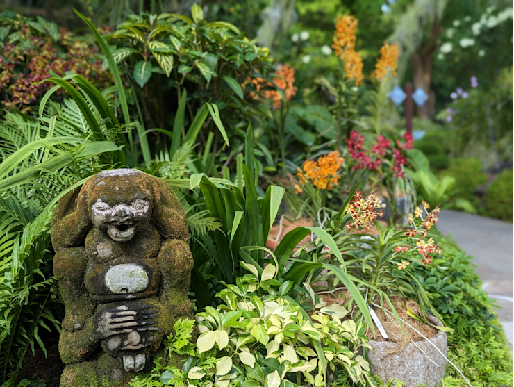 Orchidejová zahrada Orchidejová zahrada